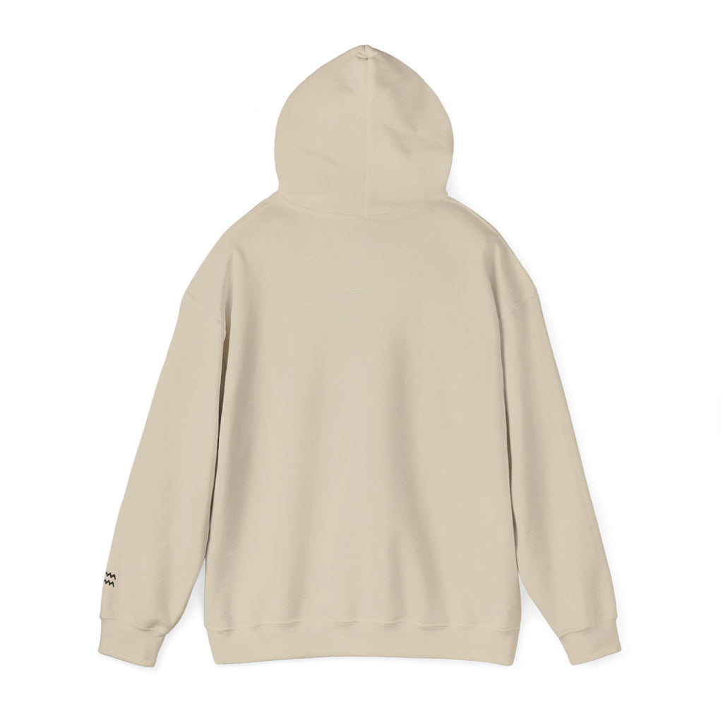 The Zodiac Hoodie: Aquarius, Est. Your Year