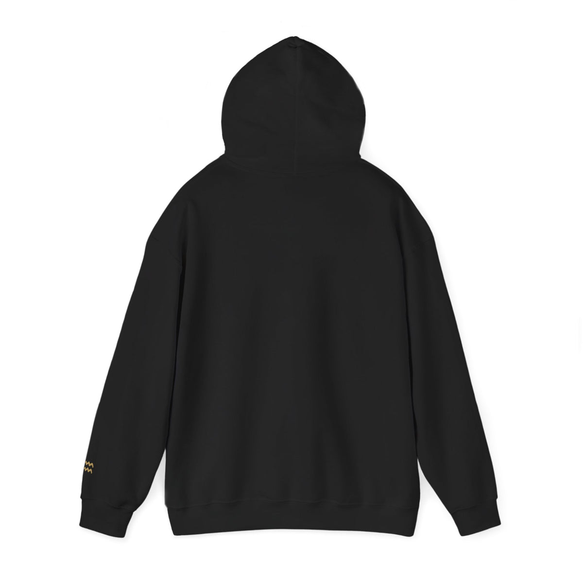 The Zodiac Hoodie: Aquarius, Est. Your Year