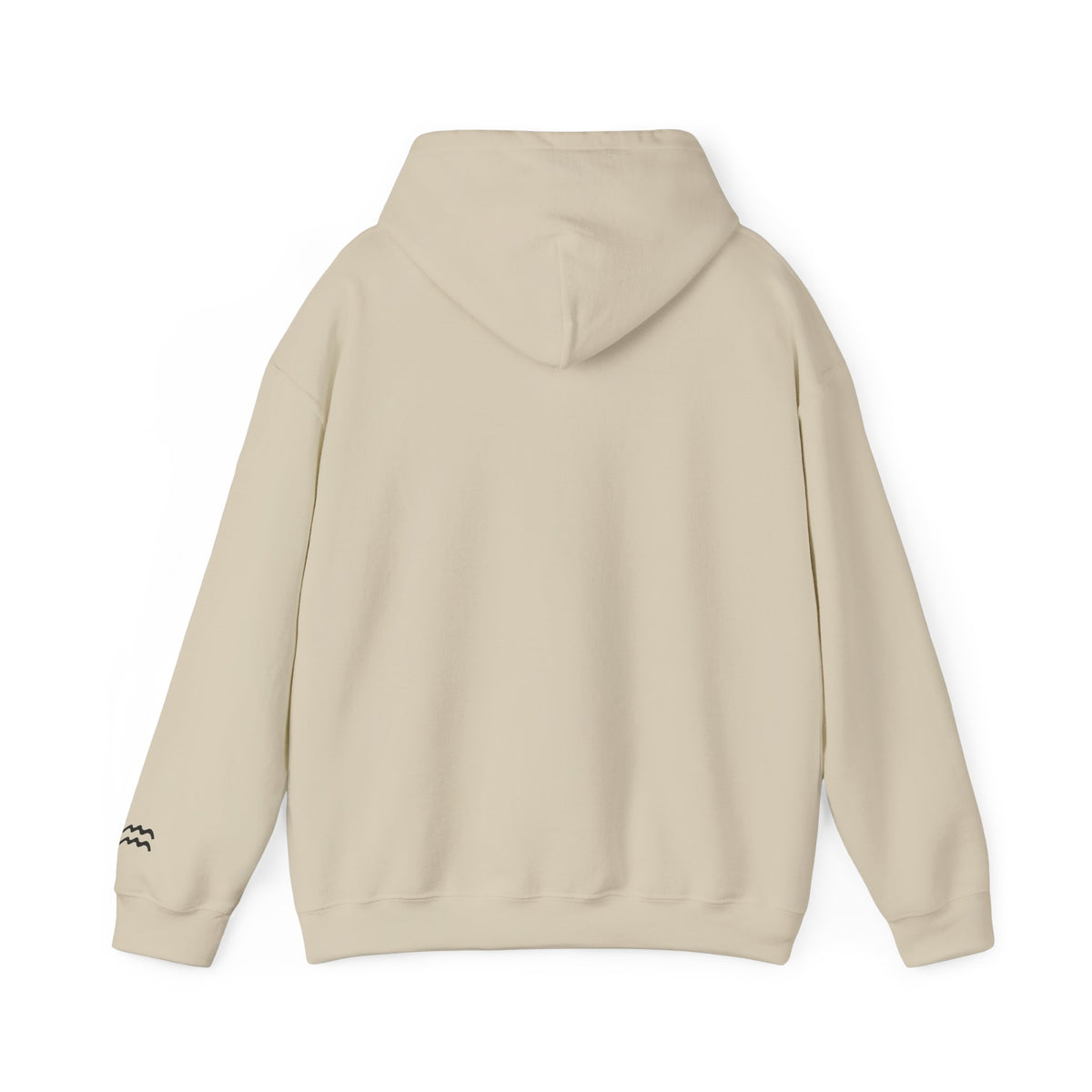 The Zodiac Hoodie: Aquarius, Est. Your Year