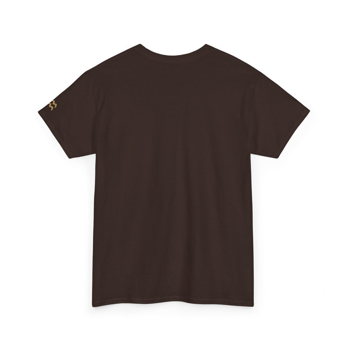 The Zodiac Tee: Aquarius, Est. Your Year