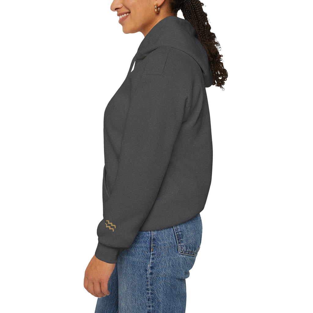 The Zodiac Hoodie: Aquarius, Est. Your Year