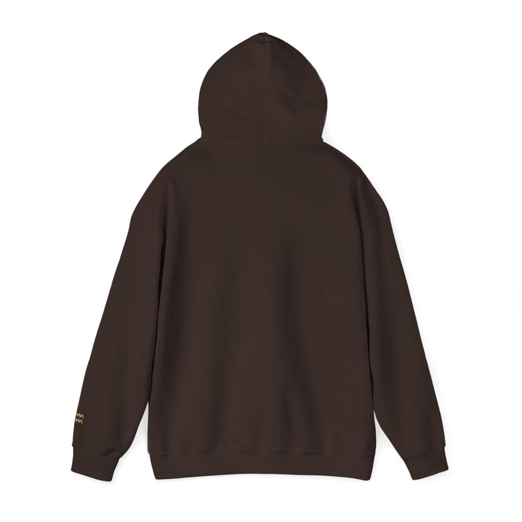 The Zodiac Hoodie: Aquarius, Est. Your Year
