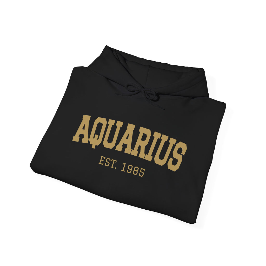 The Zodiac Hoodie: Aquarius, Est. Your Year