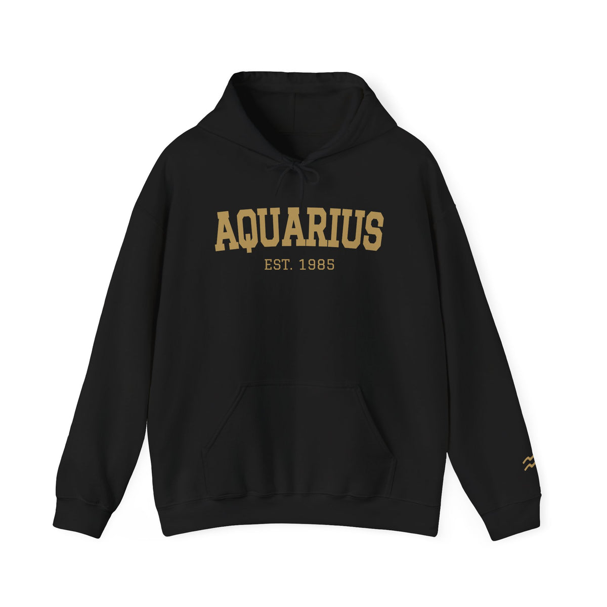 The Zodiac Hoodie: Aquarius, Est. Your Year