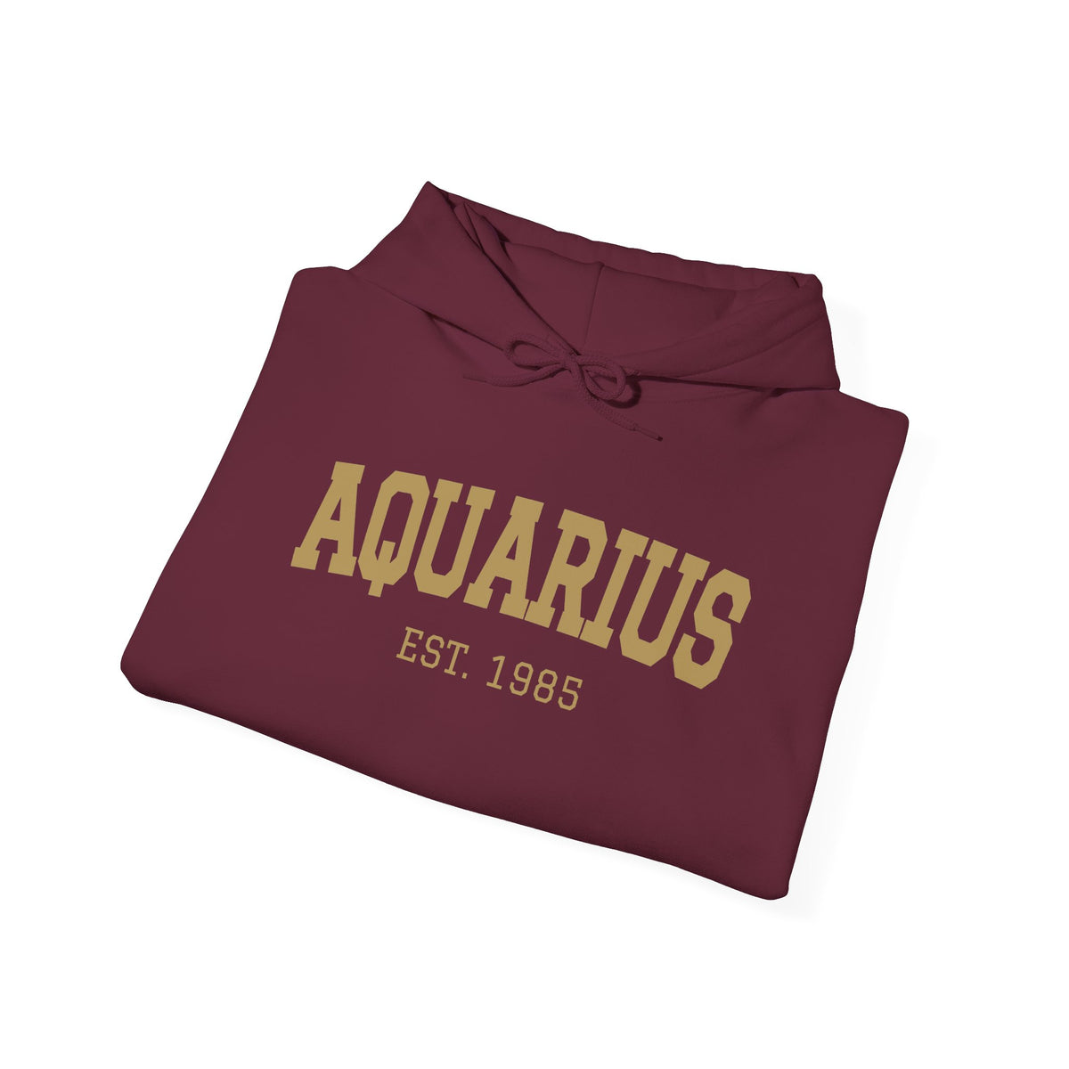The Zodiac Hoodie: Aquarius, Est. Your Year