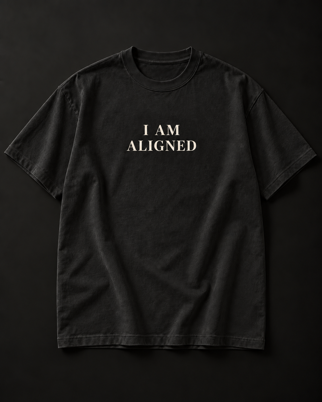 I AM ALIGNED heavyweight tee in washed charcoal with a small serif chest print.