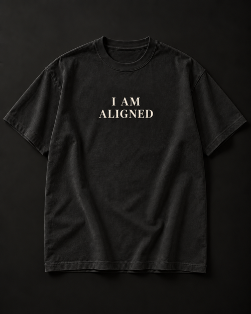 I AM ALIGNED heavyweight tee in washed charcoal with a small serif chest print.