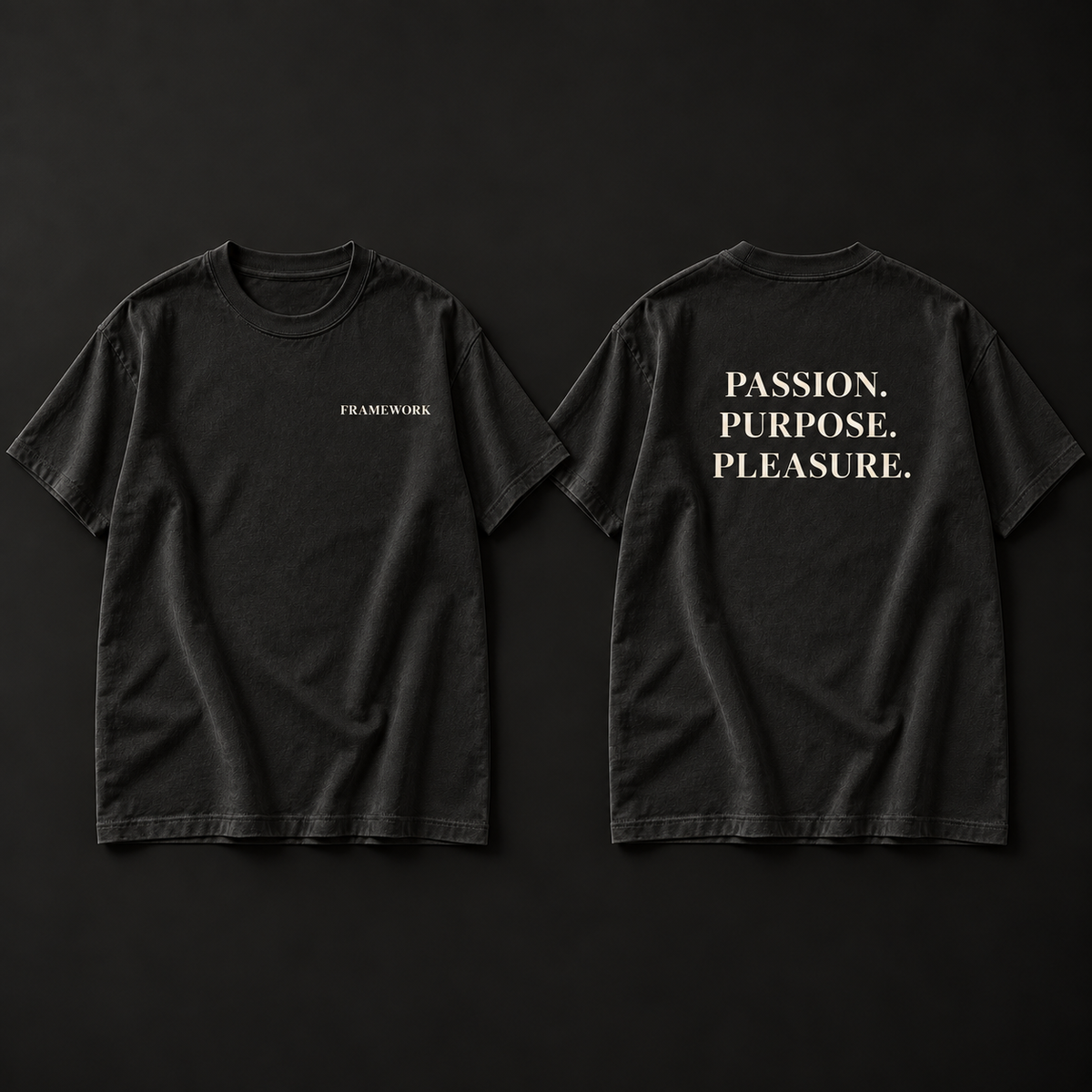 PASSION. PURPOSE. PLEASURE. heavyweight tee with three-line stacked serif back print